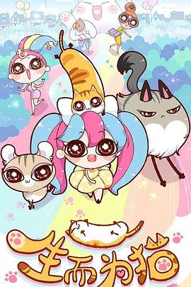 青海省网站优化加盟